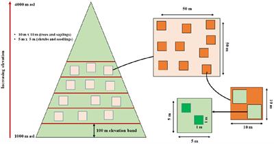 Elevation gradients alter vegetation attributes in <mark class="highlighted">mountain ecosystems</mark> of eastern Himalaya, India